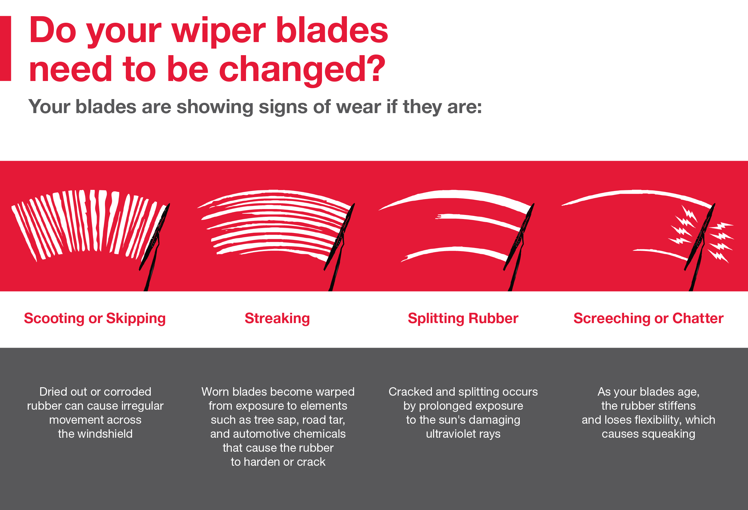 Do your wiper blades need to be changed | John Roberts Toyota in Manchester TN
