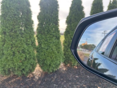 2025 Toyota RAV4 Plug-In Hybrid SE